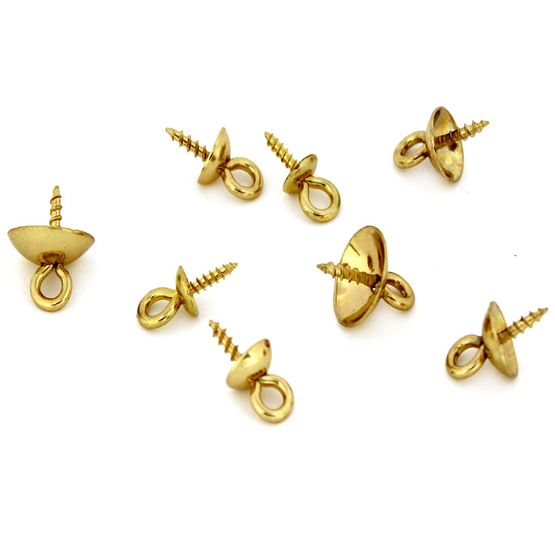 20個入り ステンレス製クラスプ フック スクリューアイピン - Jewelry Making Kit For Adults のレビューと価格